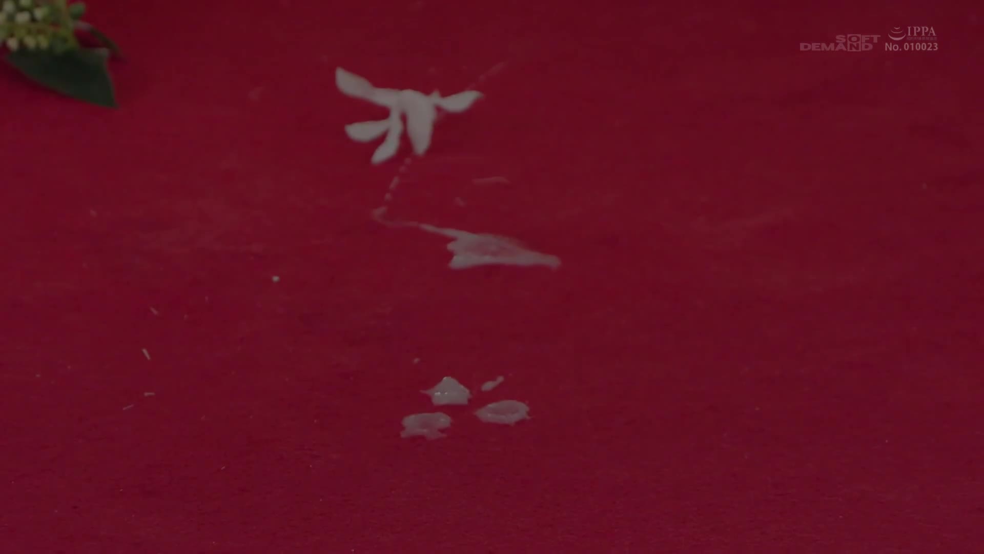 「SEX融入日常生活」-「常時性行為」記者會見 - AV大平台 - 中文字幕，成人影片，AV，國產，線上看