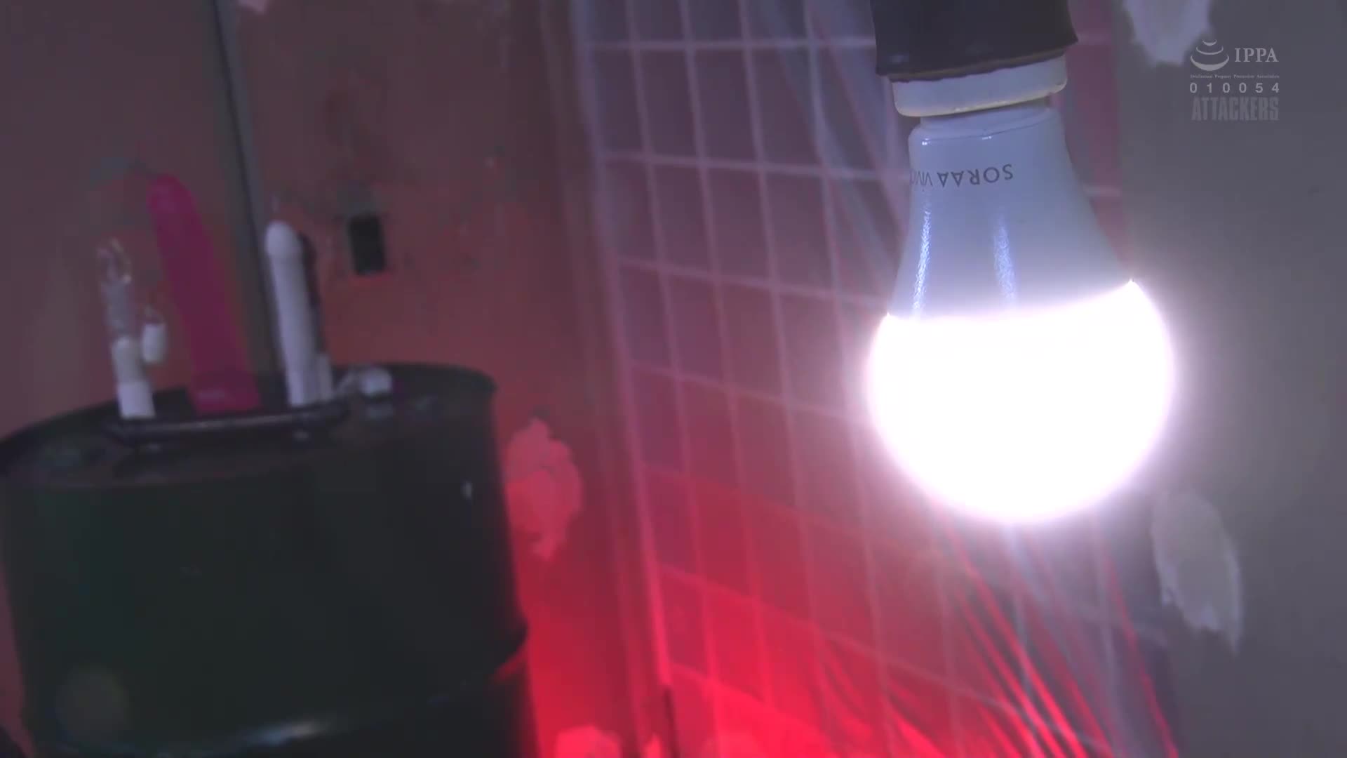 [VIP會員點播][AI解碼版]孤挺花 第二章 國際犯罪組織對美女偵探 - AV大平台 - 中文字幕，成人影片，AV，國產，線上看